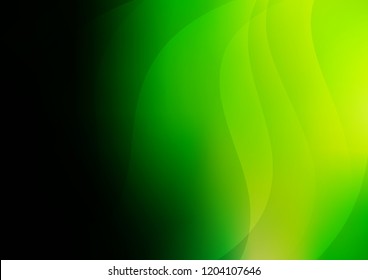 Light Green vector cover with long lines. Modern geometrical abstract illustration with staves. Best design for your ad, poster, banner.