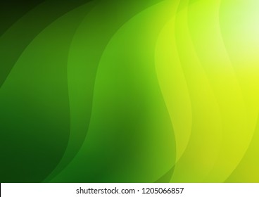 Light Green vector cover with long lines. Decorative shining illustration with lines on abstract template. The pattern can be used as ads, poster, banner for commercial.