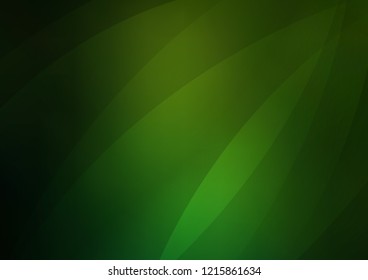 Light Green vector cover with long lines. Glitter abstract illustration with colored sticks. Best design for your ad, poster, banner.