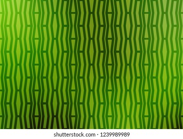 Light Green vector cover with long lines. Glitter abstract illustration with colored sticks. Best design for your ad, poster, banner.