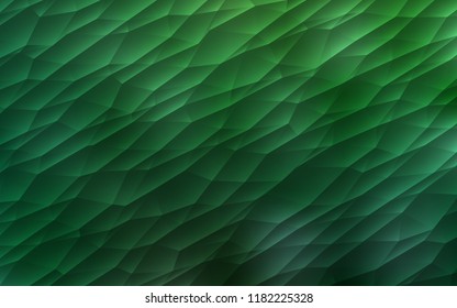 Light Green vector cover in polygonal style. Triangles on abstract background with colorful gradient. Modern template for your landing page.