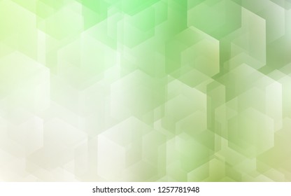 Light Green vector cover with set of hexagons. Abstract illustration with colorful hexagons. Beautiful design for your business advert.
