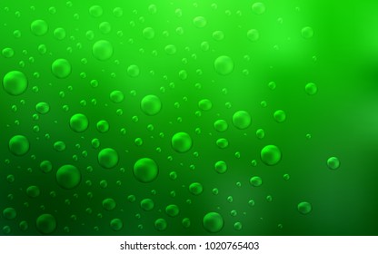 Light Green vector cover with spots. Illustration with set of shining colorful abstract circles. The pattern can be used for aqua ad, booklets.