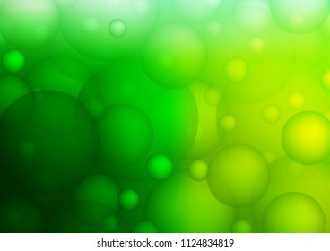 Light Green vector cover with spots. Beautiful colored illustration with blurred circles in nature style. The pattern can be used for aqua ad, booklets.