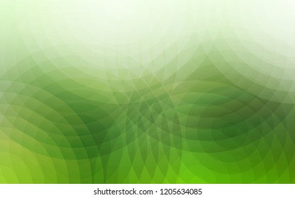Light Green vector cover with spots. Blurred decorative design in abstract style with bubbles. Pattern can be used for beautiful websites.