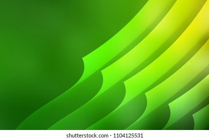 Light Green vector cover with stright stripes. Decorative shining illustration with lines on abstract template. Template for your beautiful backgrounds.