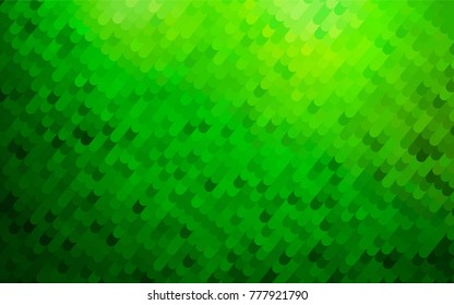 Light Green vector crooked abstract template. Shining crooked illustration in a brand-new style. The template can be used as a background for cell phones.