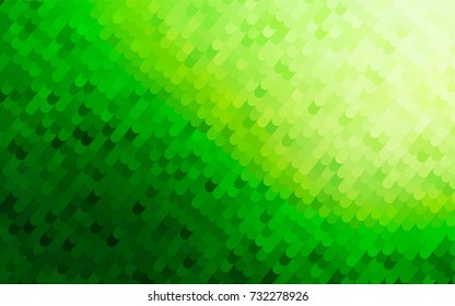 Light Green vector curved background. Glitter abstract illustration with wry lines. Brand-new style for your business design.