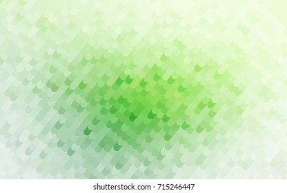 Light Green vector curved template. Brand-new colored illustration in blurry style with gradient. A new texture for your design.