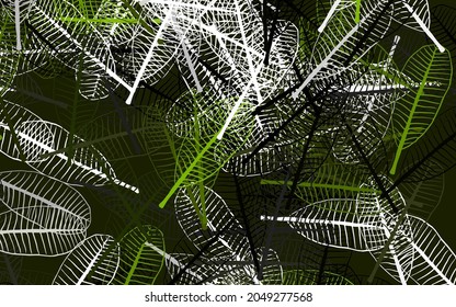 Light Green vector doodle background with leaves. Shining colored illustration with leaves in doodle style. A new texture for your wallpaper design.