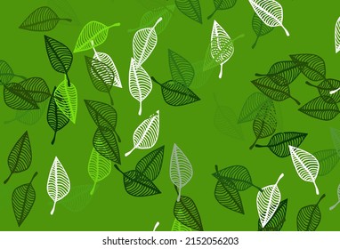 Light Green vector doodle background. Modern geometrical abstract illustration with leaves. New template for your brand book.