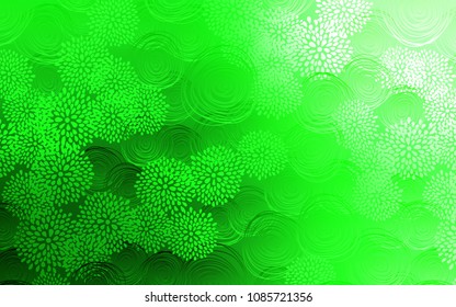 Light Green vector doodle blurred texture. Flowers on blurred abstract background with gradient. A completely new template for your business design.