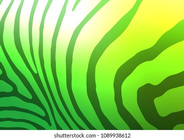 Light Green vector doodle blurred template. Shining colored illustration with doodles in Zen tangle style. The pattern can be used for heads of websites and designs.