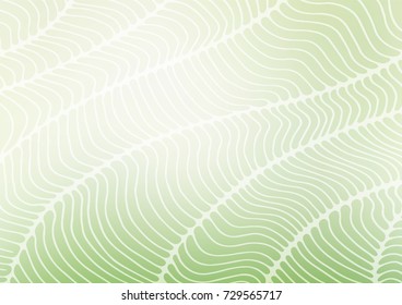 Light Green vector doodle blurred pattern. Colorful abstract illustration with lines in Asian style. The pattern can be used for wallpapers and coloring books.
