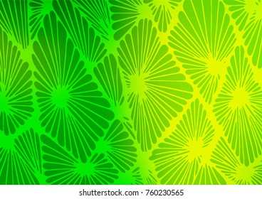 Light Green vector doodle blurred template. Colorful illustration in abstract style with doodles and Zen tangles. The textured pattern can be used for website.
