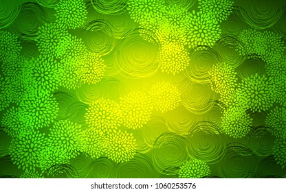 Light Green vector doodle bright pattern. Shining colored illustration with flowers in doodle style. A new texture for your design.