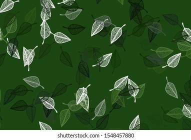 Light Green vector doodle cover. Pattern with gradient colorful leaves in natural style. Hand painted design for web, leaflet, textile.