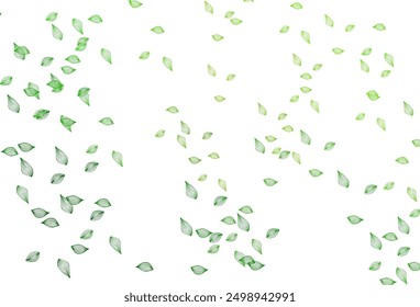 Light Green vector doodle layout. An elegant bright illustration with leaves in Natural style. Hand painted design for wrapping, wallpaper.