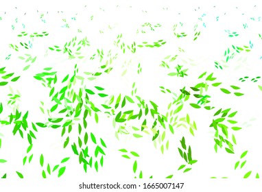 Light Green vector doodle template with leaves. Modern geometrical abstract illustration with leaves. New template for your design.