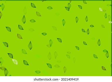 Light Green vector doodle template. Shining colorful illustration with leaves in doodle style. A new texture for your design.