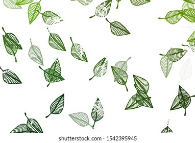 Light Green vector doodle texture. Pattern with gradient colorful leaves in natural style. Pattern for brand book.