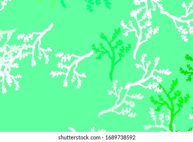 Light Green vector elegant background with sakura. Colorful illustration in doodle style with leaves, branches. Elegant pattern for your brand book.