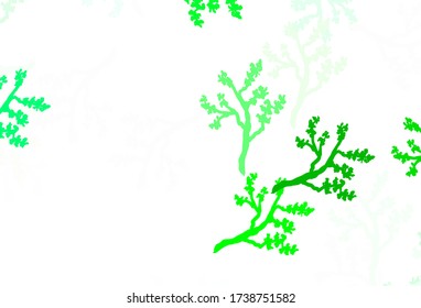 Light Green vector elegant background with sakura. Colorful illustration in doodle style with leaves, branches. Elegant pattern for your brand book.