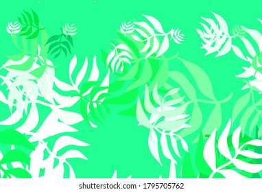 Hellgrüne, elegante Tapete mit Blättern. Farbige abstrakte Illustration mit Blättern im Doodle-Stil. Doodle Design für Ihre Website.