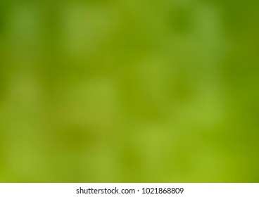 Light Green vector glossy abstract template. Colorful abstract illustration with gradient. A new texture for your design.