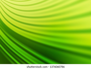 Light Green vector glossy abstract template. Glitter abstract illustration with an elegant design. The elegant pattern for brand book.