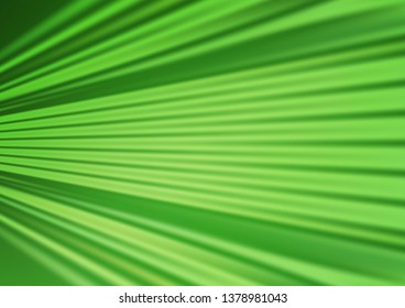 Light Green vector glossy abstract template. Colorful illustration in abstract style with gradient. The template can be used for your brand book.