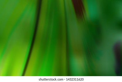 Light Green vector glossy abstract background. An elegant bright illustration with gradient. New style design for your brand book.