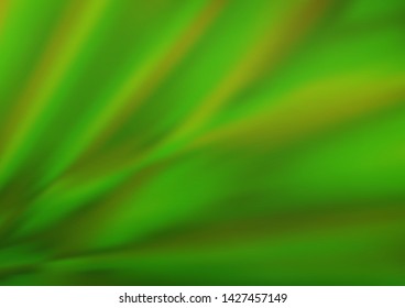 Light Green vector glossy bokeh pattern. Glitter abstract illustration with an elegant design. A completely new design for your business.