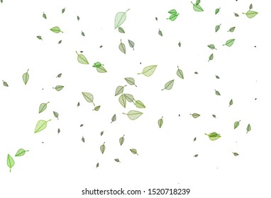 Light Green vector hand painted template. Doodle illustration of leaves in Origami style with gradient. Pattern for coloring books and pages for kids.