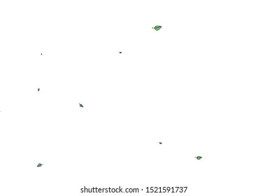 Light Green vector hand painted backdrop. Shining colorful illustration with leaves in doodle style. New template for your business design.