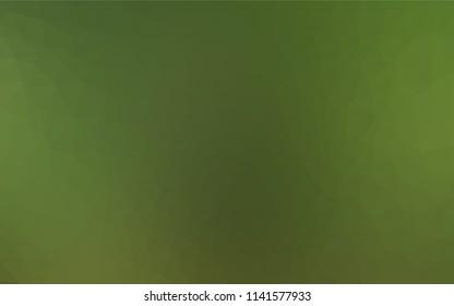 Light Green vector hexagon mosaic template. Brand new colored illustration in blurry style with gradient. A completely new design for your business.