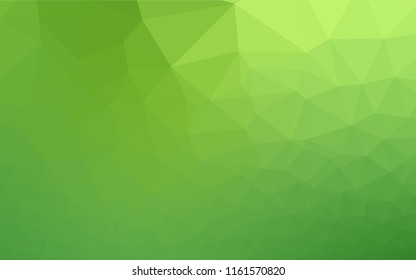 Light Green vector hexagon mosaic texture. Creative illustration in halftone style with gradient. A completely new design for your business.