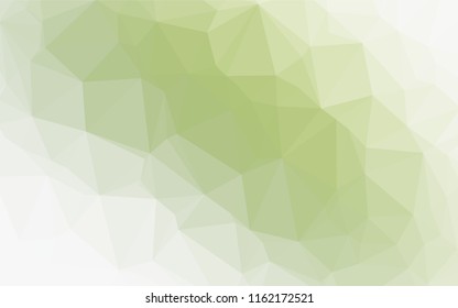 Light Green vector hexagon mosaic template. A completely new color illustration in a vague style. The template can be used as a background for cell phones.