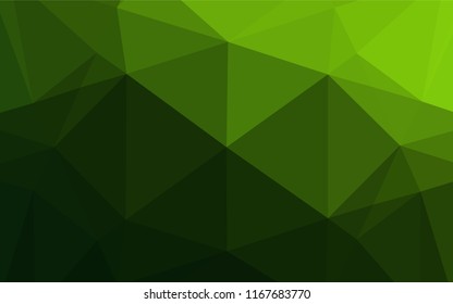Light Green vector hexagon mosaic texture. A completely new color illustration in a vague style. The template can be used as a background for cell phones.