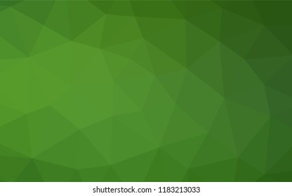 Light Green vector hexagon mosaic cover. A sample with polygonal shapes. A completely new design for your business.