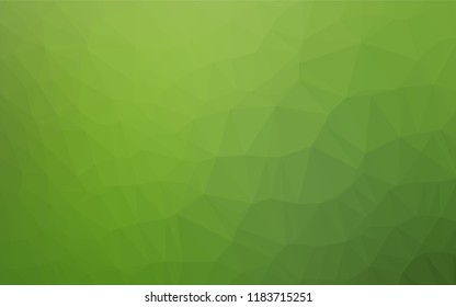Light Green vector hexagon mosaic template. Creative geometric illustration in Origami style with gradient. A completely new template for your business design.