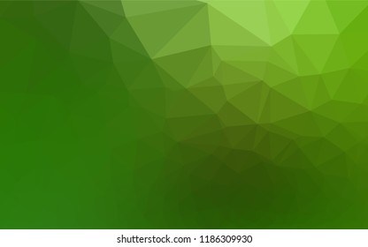 Light Green vector hexagon mosaic cover. Brand new colored illustration in blurry style with gradient. Brand new design for your business.