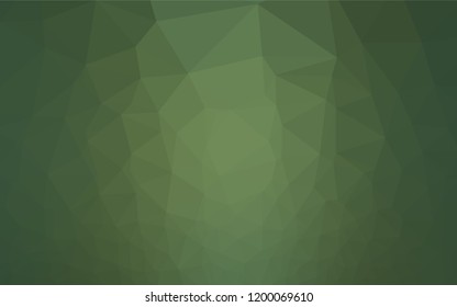 Light Green vector hexagon mosaic template. A sample with polygonal shapes. A new texture for your design.