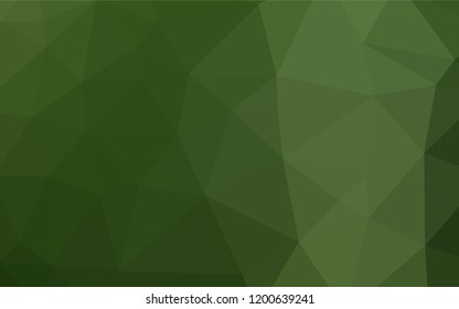 Light Green vector hexagon mosaic template. Colorful abstract illustration with gradient. A new texture for your design.