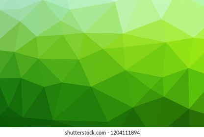 Light Green vector hexagon mosaic template. Brand new colored illustration in blurry style with gradient. A completely new template for your business design.