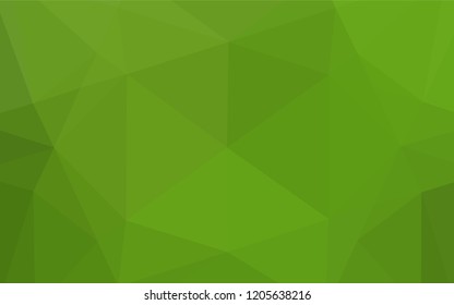 Light Green vector hexagon mosaic template. Brand new colored illustration in blurry style with gradient. A completely new design for your business.