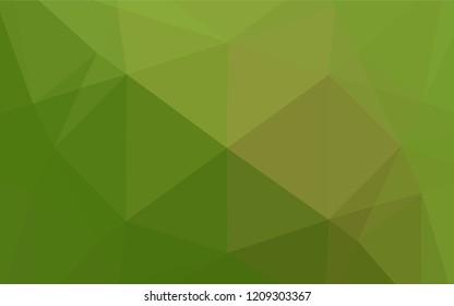 Light Green vector hexagon mosaic template. A completely new color illustration in a vague style. The template can be used as a background for cell phones.