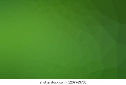 Light Green vector hexagon mosaic cover. Brand new colored illustration in blurry style with gradient. A completely new template for your business design.