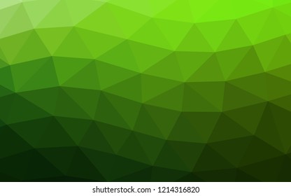 Light Green vector hexagon mosaic triangle mosaic. Glitter abstract illustration with an elegant design. A completely new design for your business.