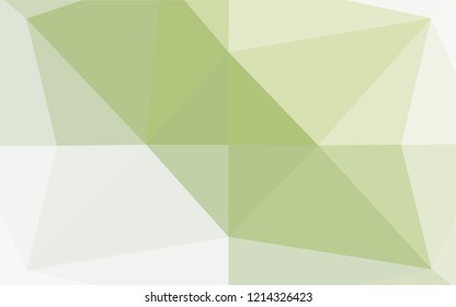 Light Green vector hexagon mosaic template. Geometric illustration in Origami style with gradient.  The elegant pattern can be used as part of a brand book.